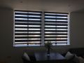 vision blinds7